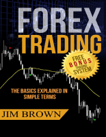 FOREX_TRADING_The_Basics_Explained.pdf